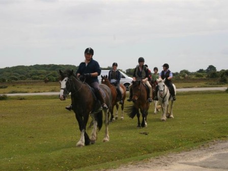Riding in the New Forest 